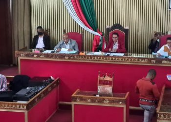 Assemblée nationale à Madagascar