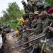 rdc M23
