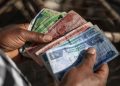 En Ethiopie, le birr, la monnaie nationale, subit une chute historique image principale