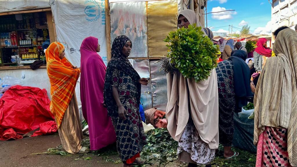 «C'est ma seule ressource financière»: à Aweday, le khat fait vivre des milliers d'Éthiopiens image principale «C'est ma seule ressource financière»: à Aweday, le khat fait vivre des milliers d'Éthiopiens image principale