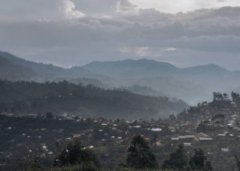 Est de la RDC: face à la fermeture des banques, le PAM veut apporter des devises aux commerces image principale
