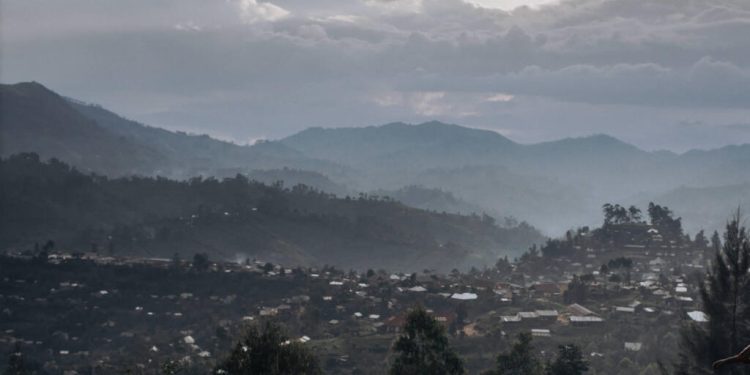 Est de la RDC: face à la fermeture des banques, le PAM veut apporter des devises aux commerces image principale