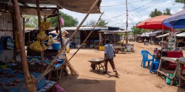 information image principale