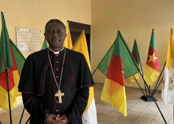 information image principale