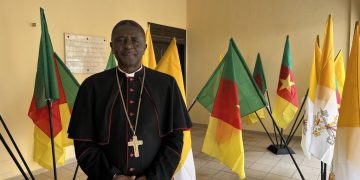 information image principale