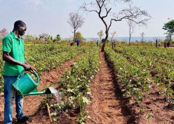 information image principale