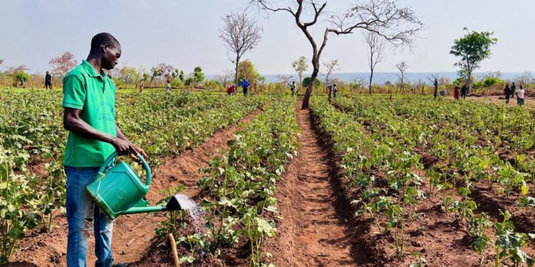 information image principale