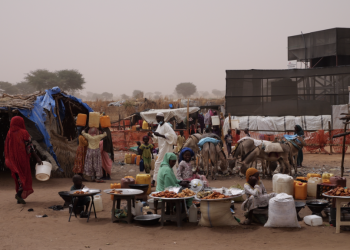 information image principale