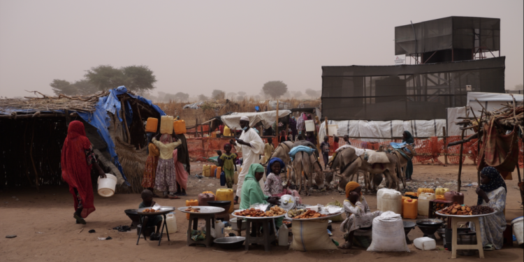 information image principale