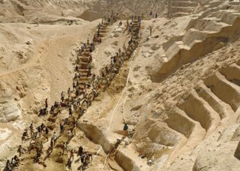 information image principale