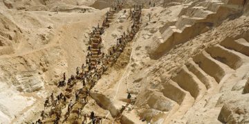 information image principale