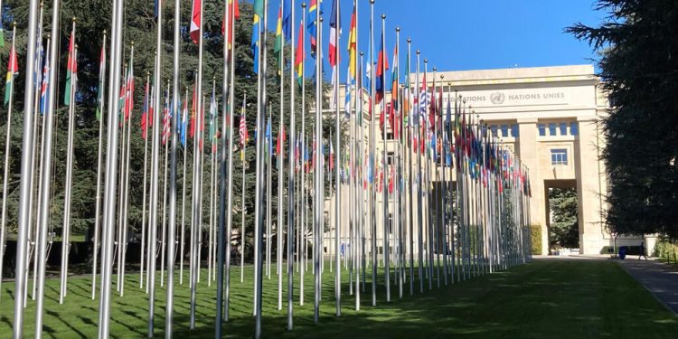 information image principale