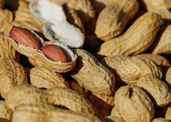 La Chine se détourne de l'arachide africaine au profit de la sud-américaine image principale