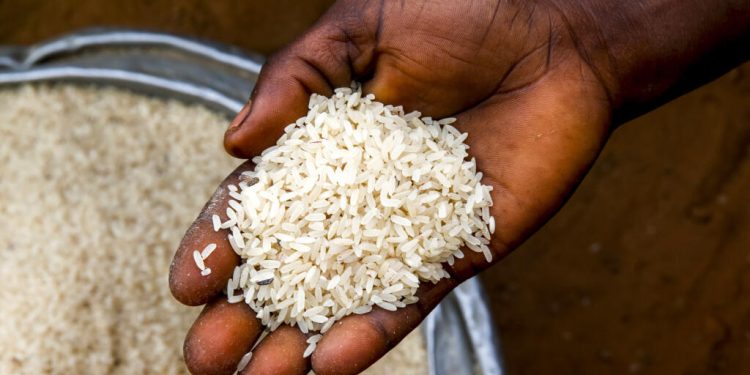 La guerre au Moyen-Orient fait grimper les prix alimentaires en Afrique image principale