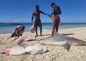 Madagascar: à bord avec les Vezo, pêcheurs itinérants menacés par la surpêche image principale