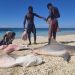 Madagascar: à bord avec les Vezo, pêcheurs itinérants menacés par la surpêche image principale