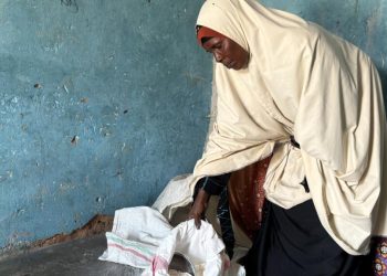 Somalie: la guerre en Iran menace la sécurité alimentaire et pèse sur les bourses fragiles au Puntland [2/4] image principale