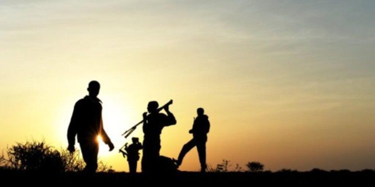 Les actes de piraterie connaissent une recrudescence au large de la Somalie image principale