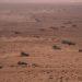 Maroc: deux soldats américains portés disparus après un exercice militaire dans le sud image principale
