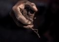 Namibie: les raisons du soutien de la Chine à la transformation locale des minerais stratégiques image principale
