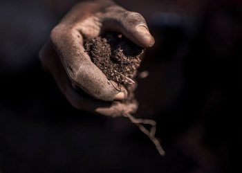 Namibie: les raisons du soutien de la Chine à la transformation locale des minerais stratégiques image principale
