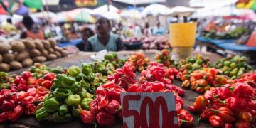 RDC: une réforme réserve à nouveau aux Congolais l'accès aux «petits commerces» image principale