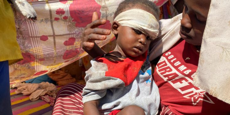Soudan: 5 millions d'enfants souffrent de privations extrêmes au Darfour, s'inquiète l'Unicef image principale