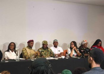 Afrique du Sud: les organisations anti-sans papiers défendent leur «grande marche de libération» du 30 juin image principale