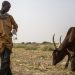 Cameroun: des récoltes insuffisantes pour soulager les familles face à la crise alimentaire image principale