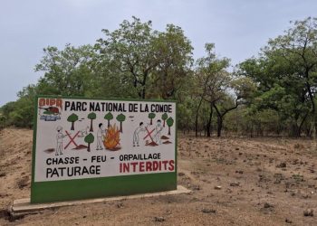 Côte d'Ivoire: les habitants s'impliquent autour du parc national de la Comoé pour le protéger [2/3] image principale