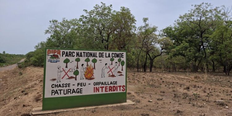 Côte d'Ivoire: autour du parc de la Comoé, un contexte économique et social fragile [3/3] image principale