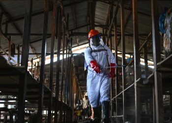 Ebola à RDC: à Bunia, les mesures pour lutter contre l'épidémie pèsent sur les commerçants image principale