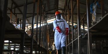 Ebola à RDC: à Bunia, les mesures pour lutter contre l'épidémie pèsent sur les commerçants image principale