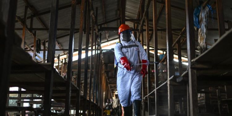 Ebola à RDC: à Bunia, les mesures pour lutter contre l'épidémie pèsent sur les commerçants image principale