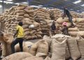 La Chine simplifie l’accès à son marché pour les noix de cajou africaines image principale