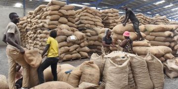 La Chine simplifie l’accès à son marché pour les noix de cajou africaines image principale