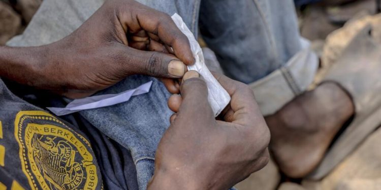 L’Afrique de l’Ouest et du Centre devient peu à peu une zone de production de drogue image principale