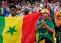 Mondial 2026: «Je n’ai pas reconnu mon Sénégal», les supporters des Lions sonnés après la défaite face à la Norvège image pri