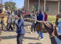 RDC: Beni de nouveau dans la ligne de mire des ADF, malgré les renforts annoncés par Kinshasa image principale