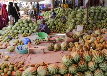 Somalie: quand les femmes deviennent cheffes d'entreprises et bousculent les traditions image principale