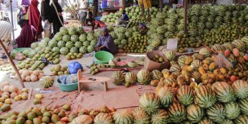 Somalie: quand les femmes deviennent cheffes d'entreprises et bousculent les traditions image principale
