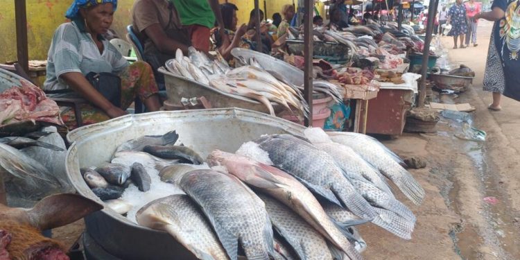 Un accord de pêche entre le Gabon et l’Union européenne non renouvelé image principale