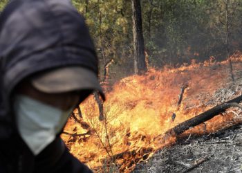 Algérie: six morts depuis le début de la vague d'incendies, dopés par une chaleur exceptionnelle image principale