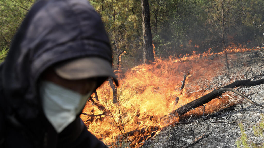 Algérie: six morts depuis le début de la vague d'incendies, dopés par une chaleur exceptionnelle image principale Algérie: six morts depuis le début de la vague d'incendies, dopés par une chaleur exceptionnelle image principale
