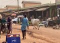 Bénin-Niger: ces «préalables» exigés par Niamey avant une réouverture de la frontière image principale