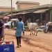 Bénin-Niger: ces «préalables» exigés par Niamey avant une réouverture de la frontière image principale