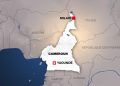 Cameroun: neuf civils tués dans une attaque attribuée à Boko Haram dans l’Extrême-Nord image principale