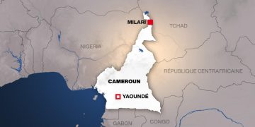 Cameroun: neuf civils tués dans une attaque attribuée à Boko Haram dans l’Extrême-Nord image principale