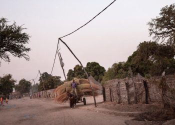 Centrafrique: frontalière du Soudan, la localité d'Am Dafok visée par une violente attaque image principale