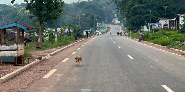 Centrafrique: une opération de démantèlement des barrières illégales image principale